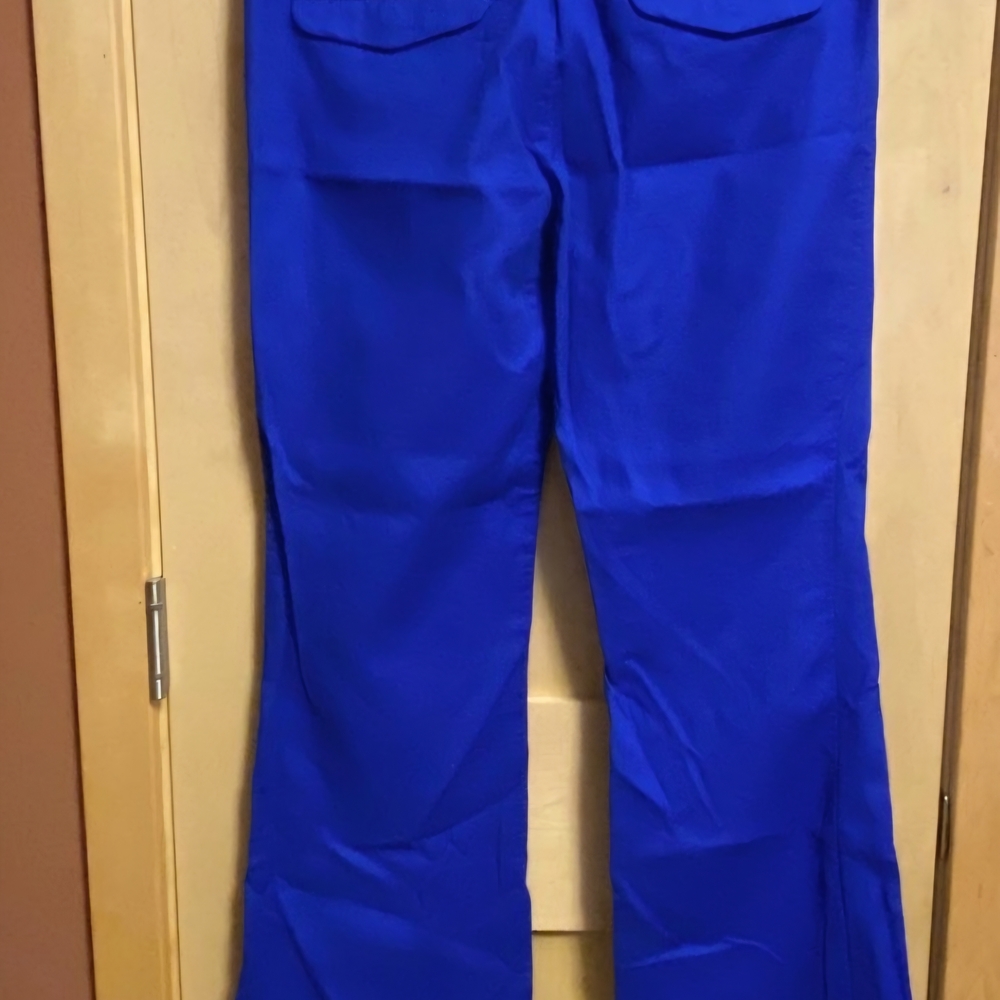 GAP Women's Vibrant Blue Flare Pants